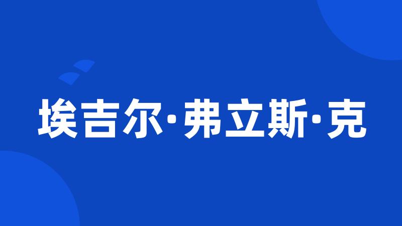 埃吉尔·弗立斯·克