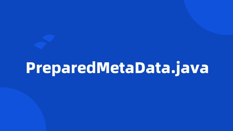 PreparedMetaData.java