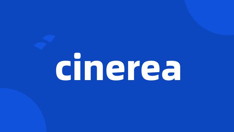 cinerea