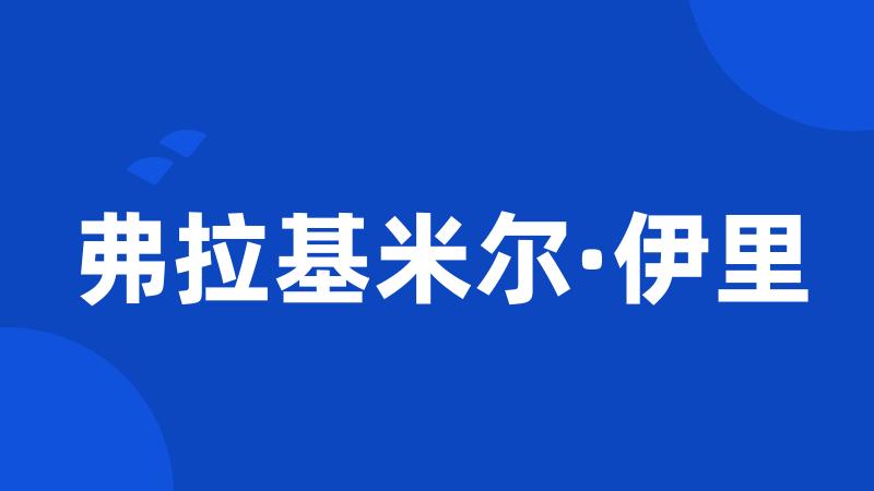 弗拉基米尔·伊里