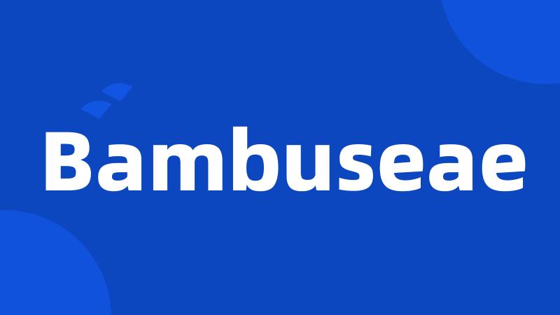 Bambuseae