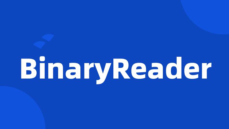 BinaryReader