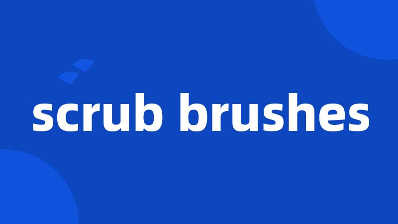 scrub brushes