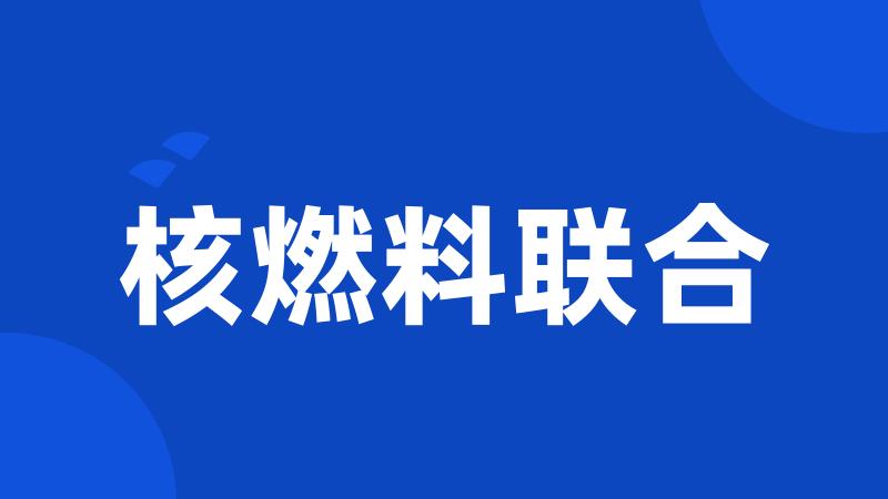 核燃料联合