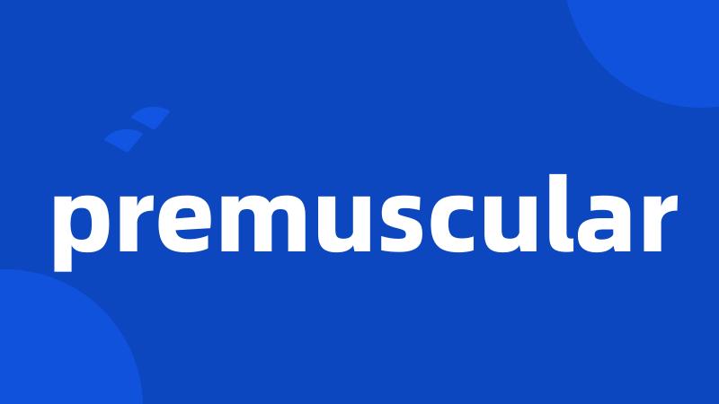 premuscular