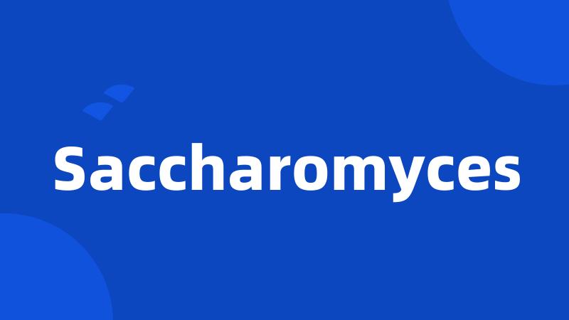 Saccharomyces