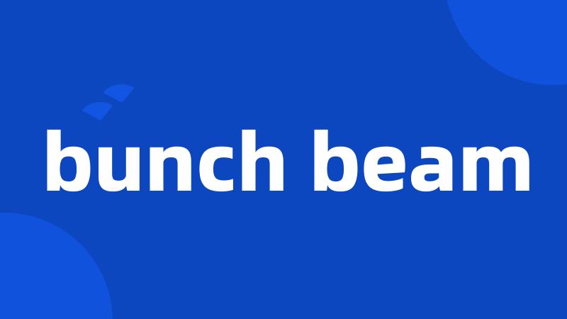 bunch beam