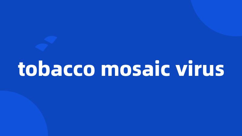 tobacco mosaic virus