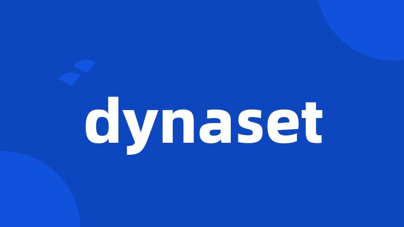 dynaset