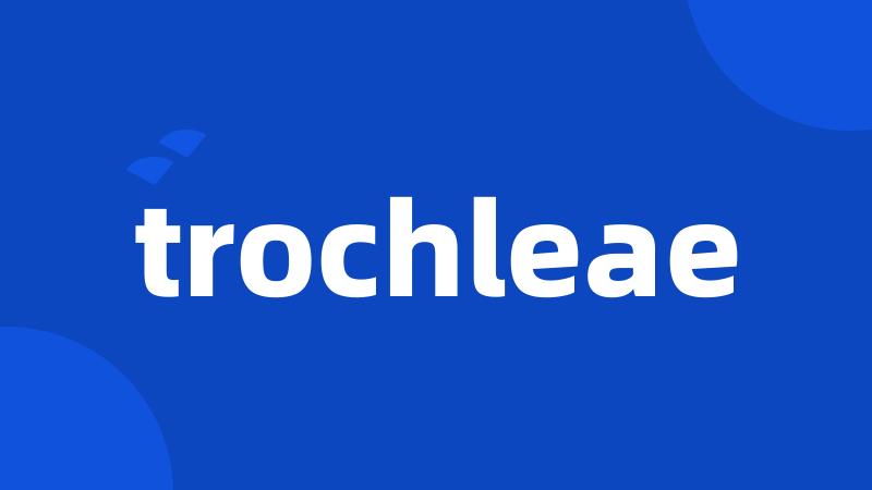 trochleae