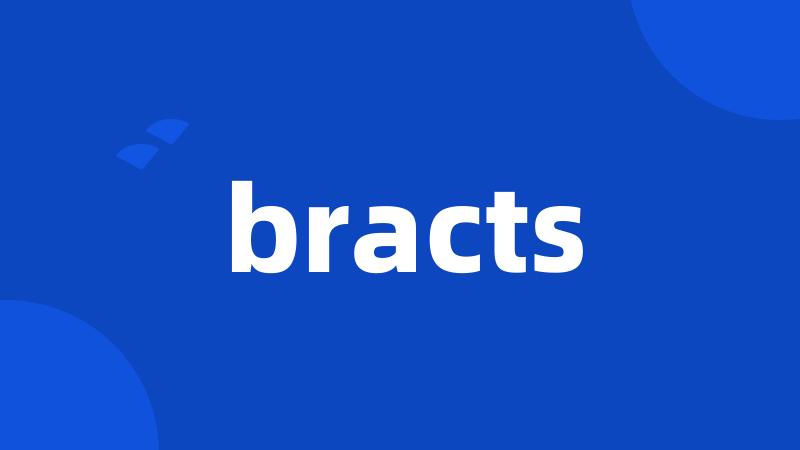 bracts