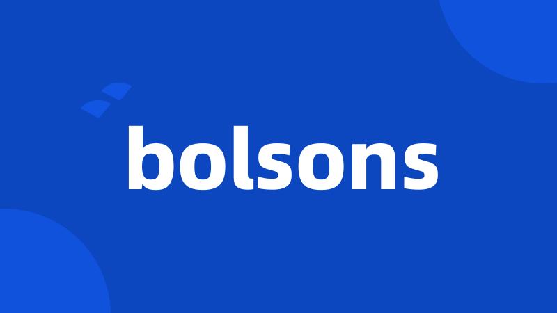 bolsons