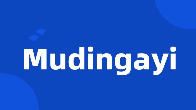 Mudingayi