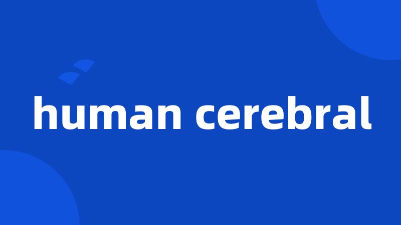 human cerebral