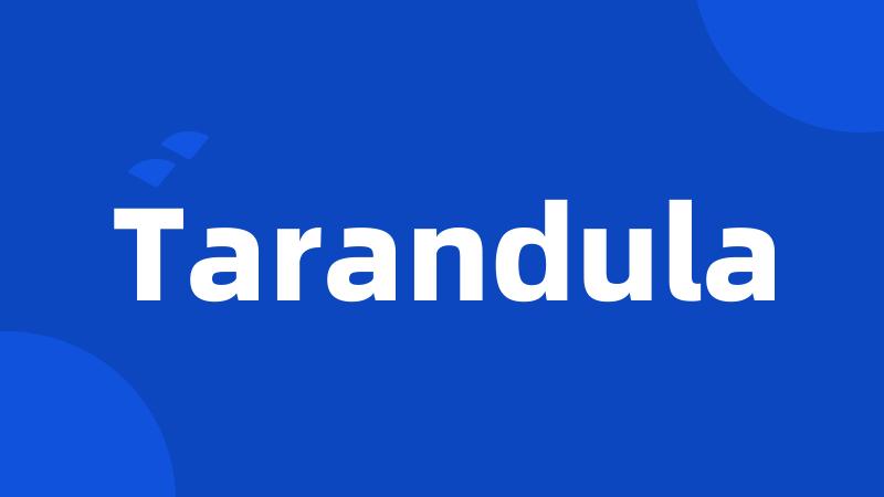 Tarandula