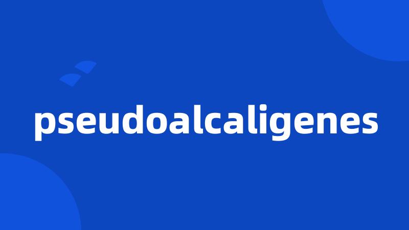 pseudoalcaligenes