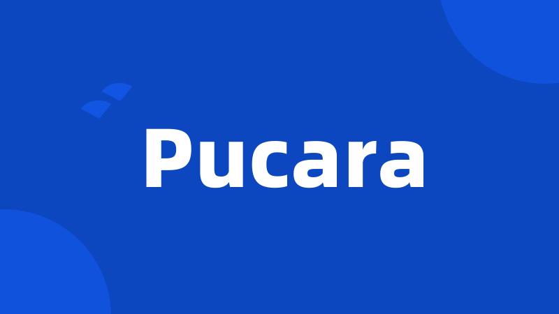 Pucara