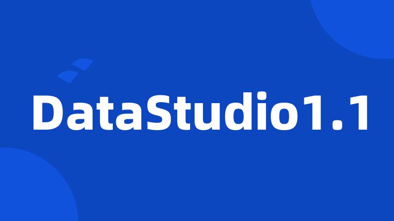 DataStudio1.1