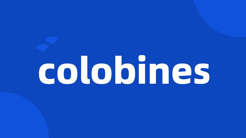 colobines