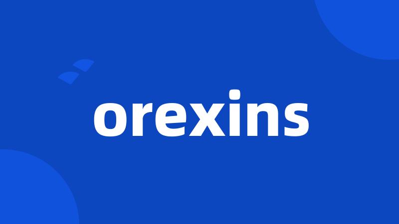 orexins