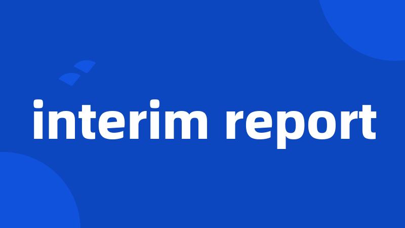 interim report