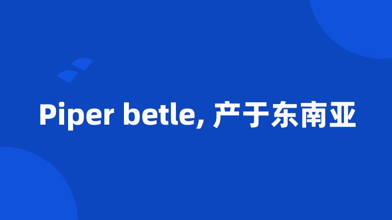 Piper betle, 产于东南亚