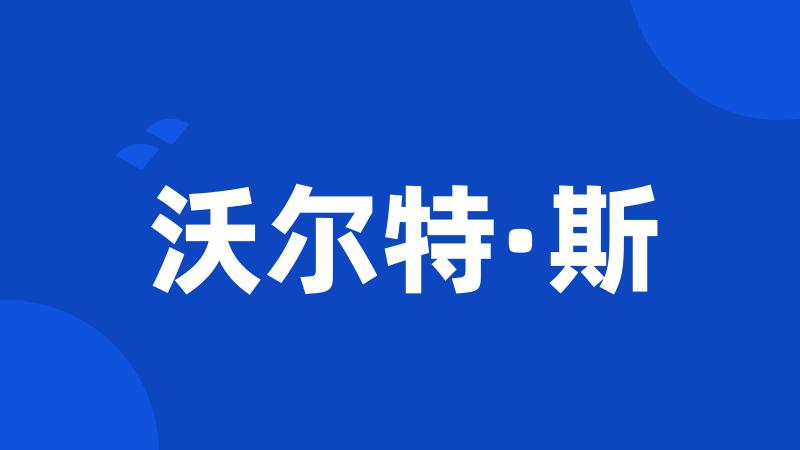 沃尔特·斯