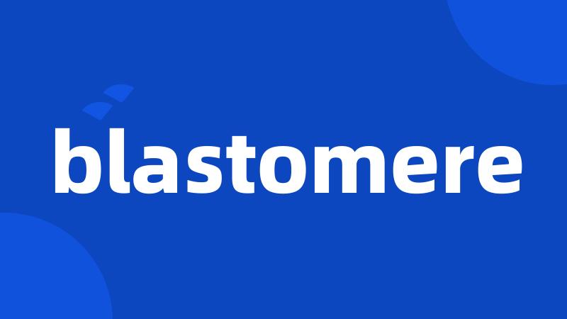 blastomere