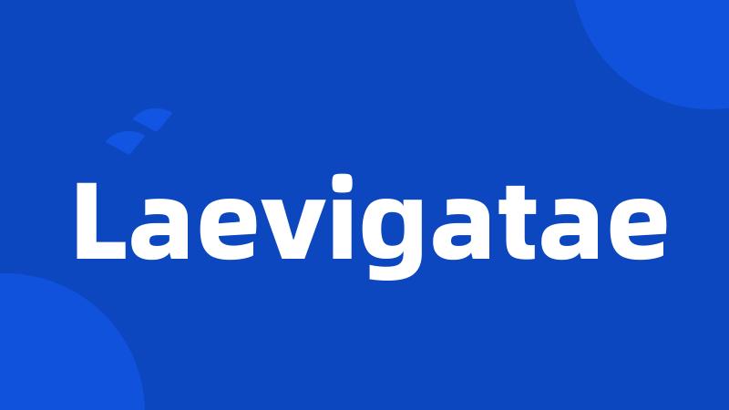 Laevigatae