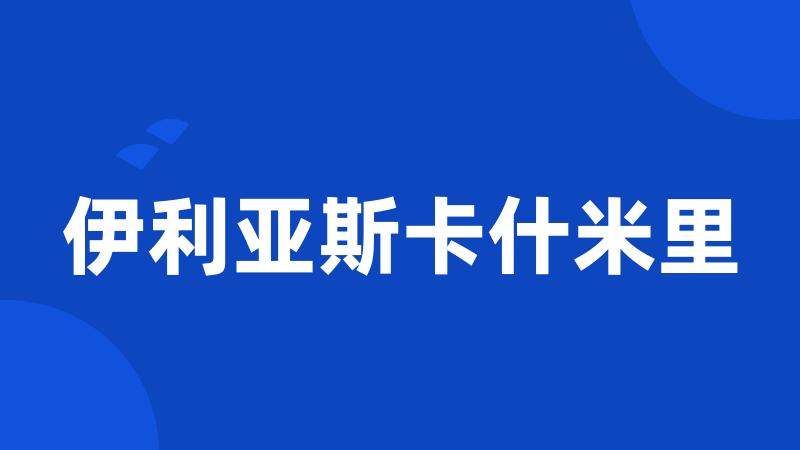 伊利亚斯卡什米里