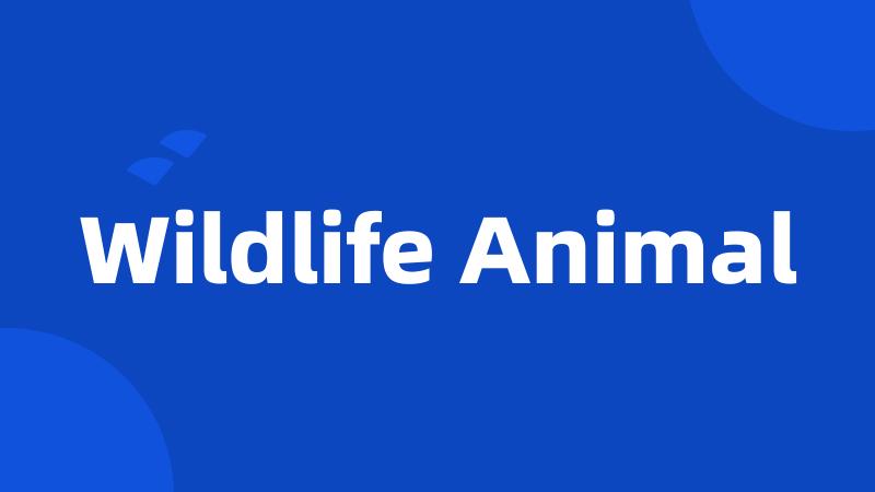 Wildlife Animal