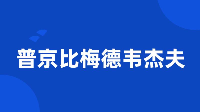 普京比梅德韦杰夫