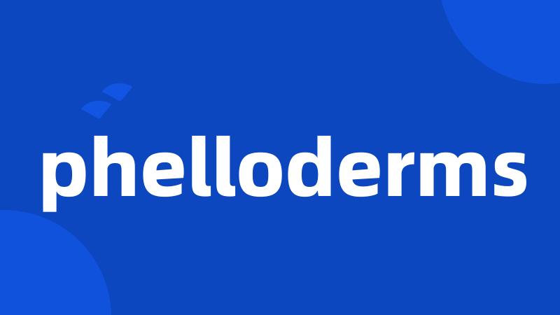 phelloderms