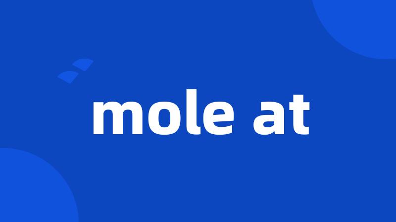 mole at