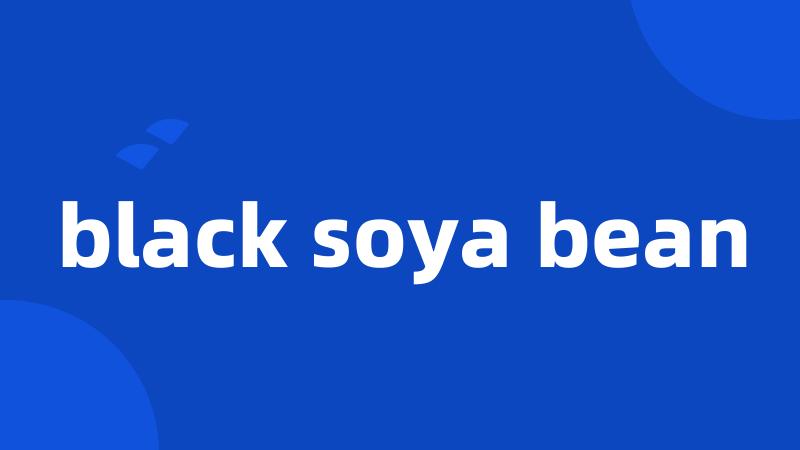 black soya bean