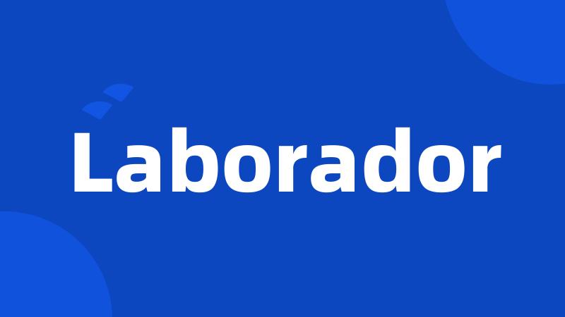 Laborador