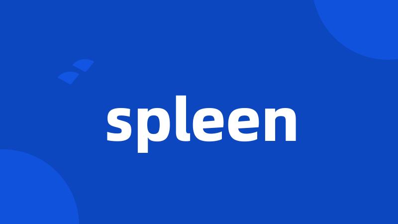 spleen