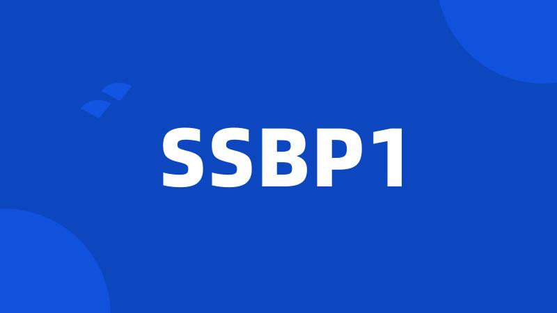 SSBP1