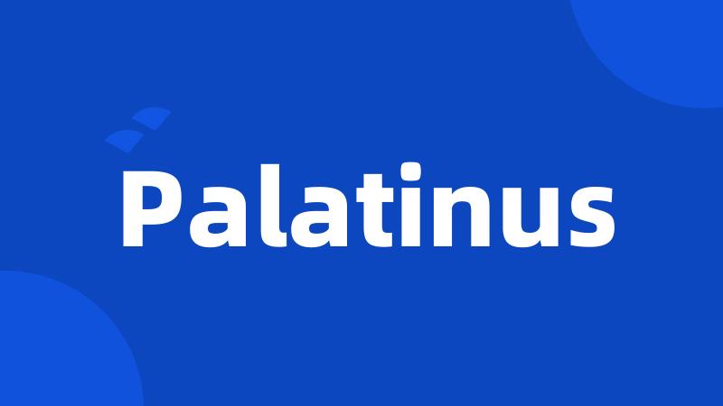 Palatinus