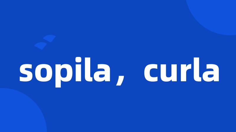 sopila，curla