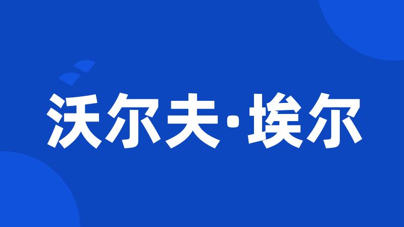 沃尔夫·埃尔