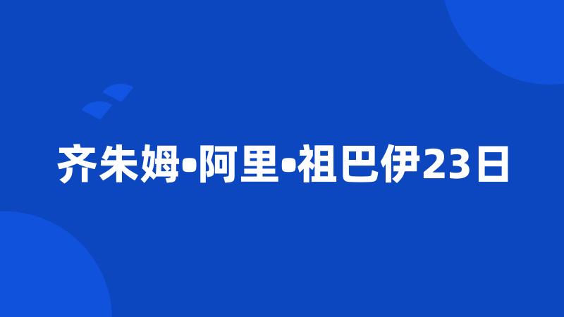 齐朱姆•阿里•祖巴伊23日