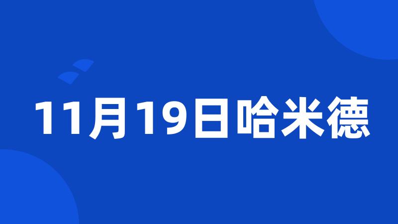 11月19日哈米德