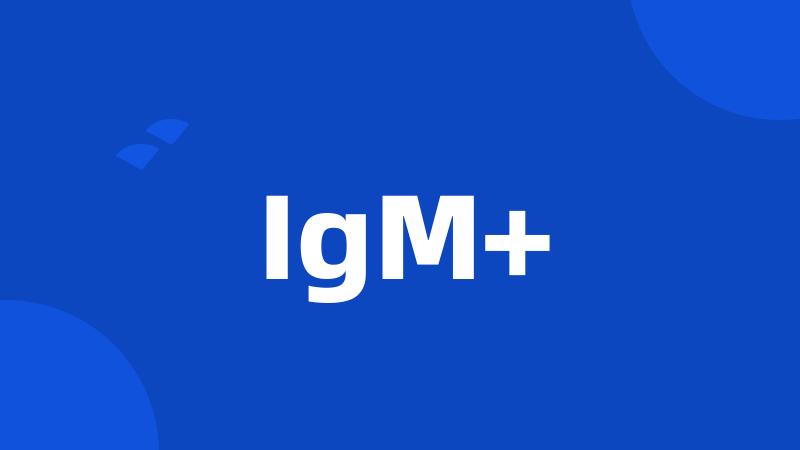 IgM+