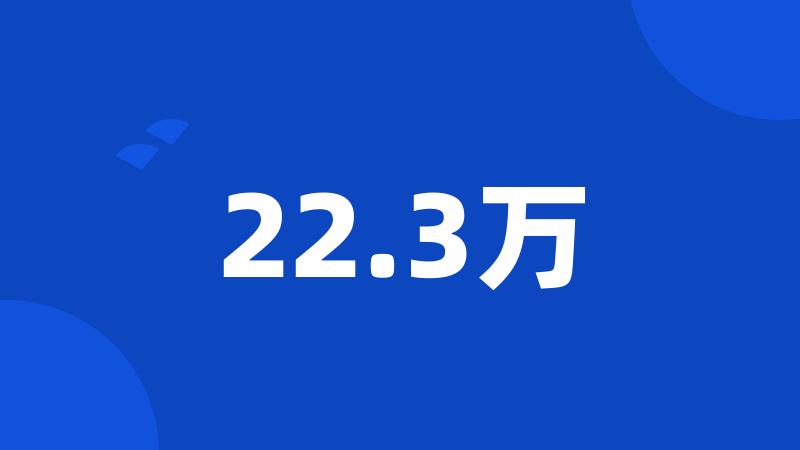 22.3万