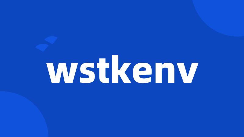 wstkenv