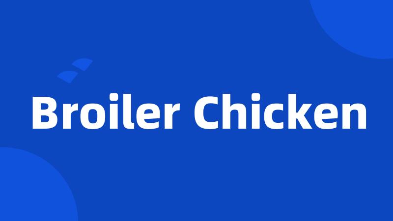 Broiler Chicken