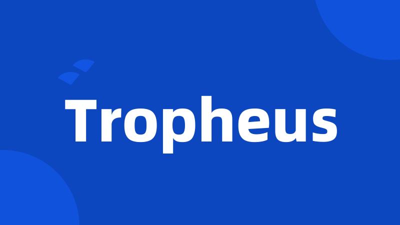 Tropheus