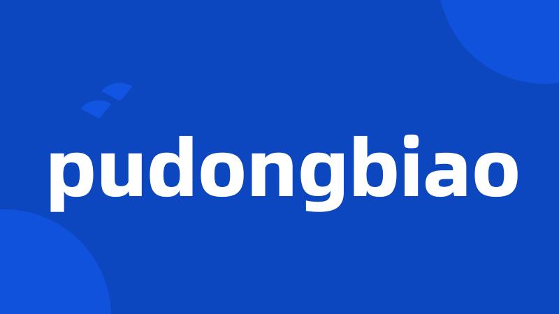 pudongbiao