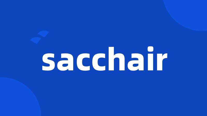 sacchair